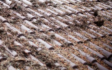 Warland roof cleaning companies